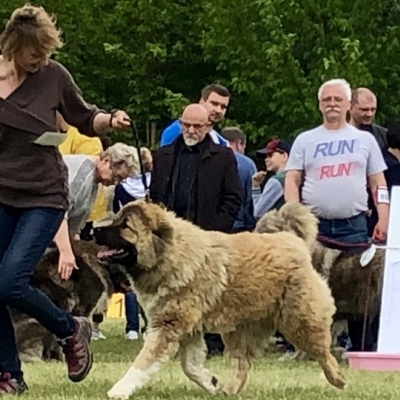 IDS ŁÓDŹ'19 - SULIKO - ZWYCIĘZCA MŁODZIEŻY